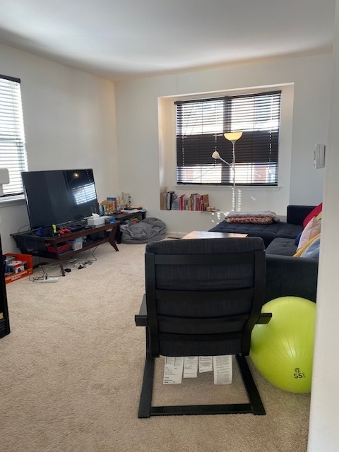 1048 North Claremont Drive Palatine, IL 60074 - Photo 3 of 5 a room with a couch and a potted plant