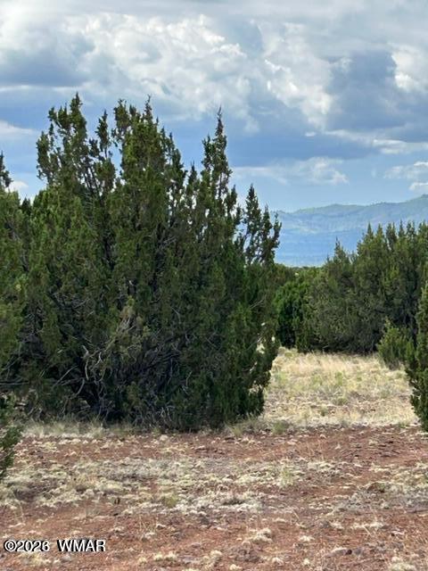 N3109 Rd Vernon Az 85940 Road Vernon, AZ 85940 - Photo 5 of 17
