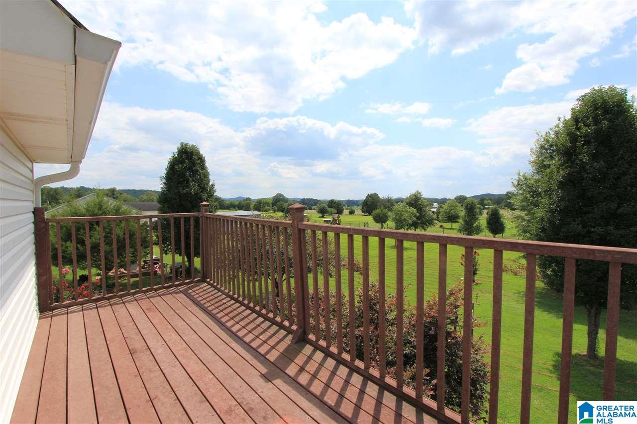 2540 Cedars Road Munford, AL 36268 - Photo 41 of 50