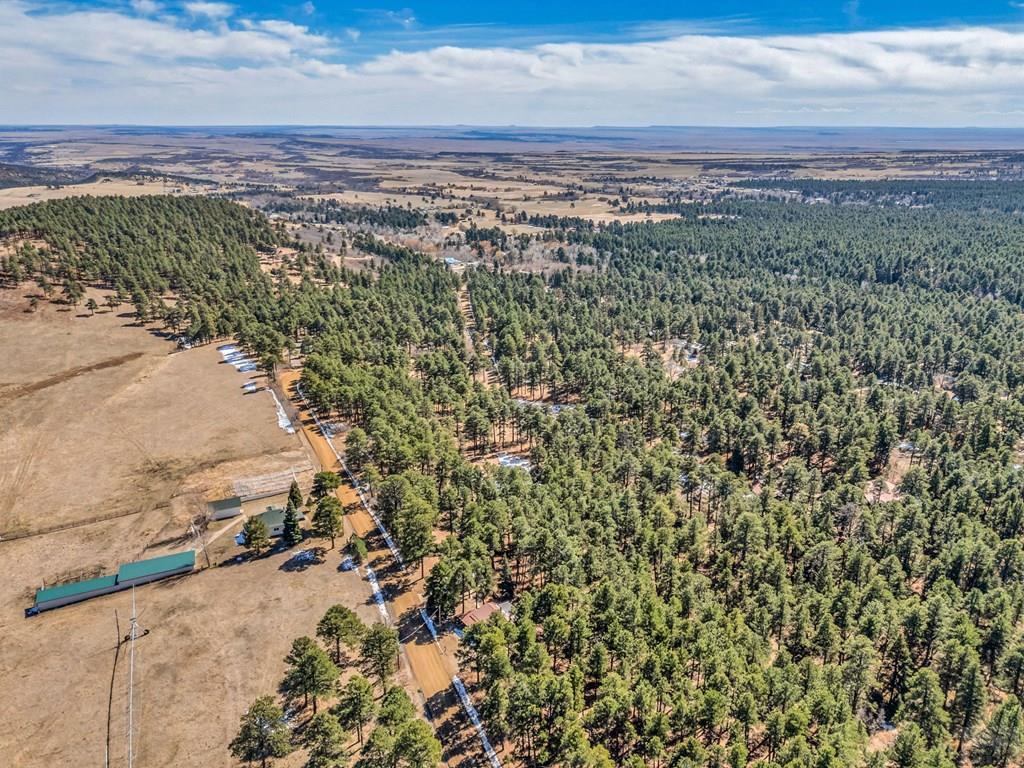 8326 Cuerna Verde Road Rye, CO 81069 - Photo 55 of 65