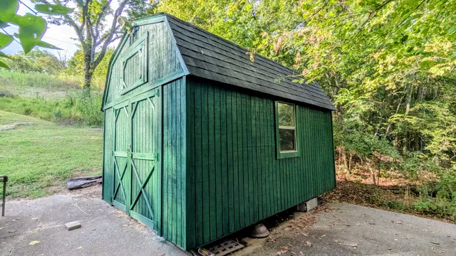 a view of a backyard with plants and large trees