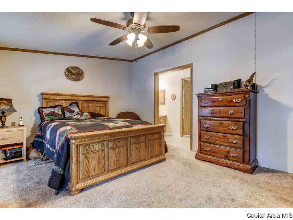 1 Bone Valley Drive Springfield, IL 62702 - Photo 17 of 31 Gallery Image 17