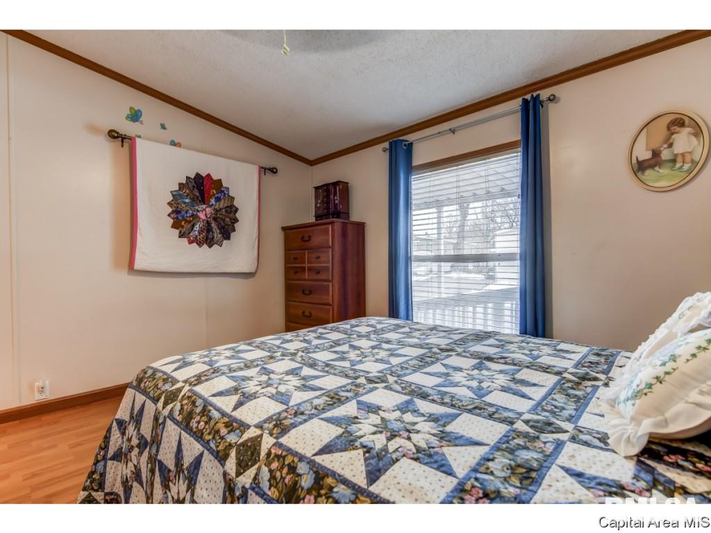 1 Bone Valley Drive Springfield, IL 62702 - Photo 25 of 31 Gallery Image 25