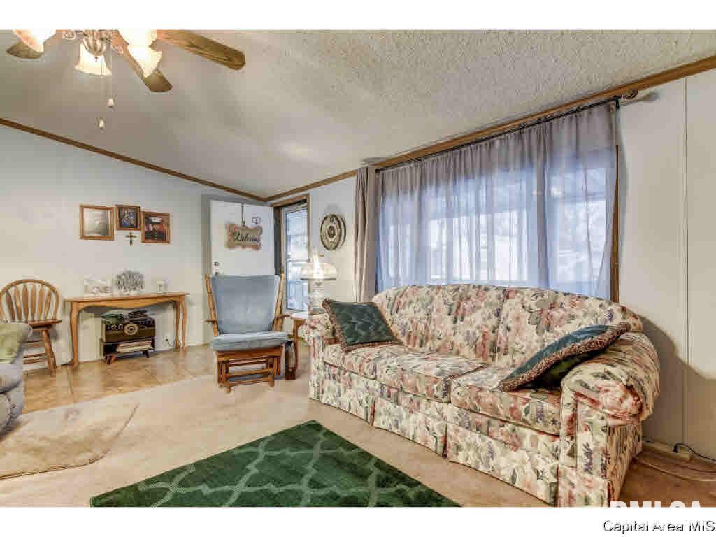 1 Bone Valley Drive Springfield, IL 62702 - Photo 6 of 31 Gallery Image 6