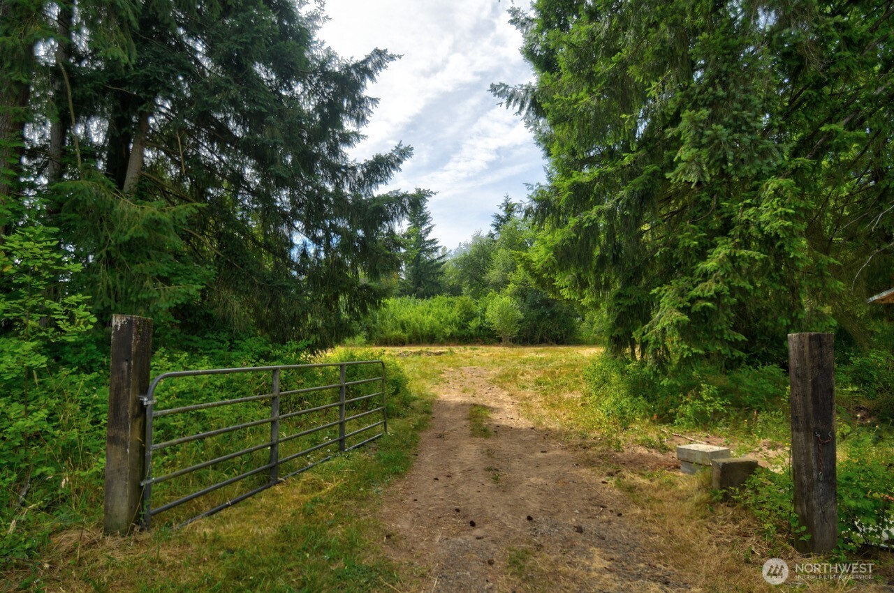 273 Jorgensen Road Onalaska, WA 98570 - Photo 20 of 34 Gallery Image 20