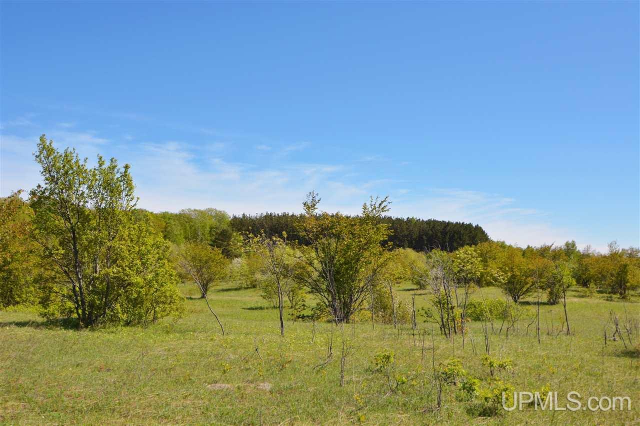 Tbd North Cloverland Road Calumet, MI 49913 - Photo 11 of 32 Gallery Image 11