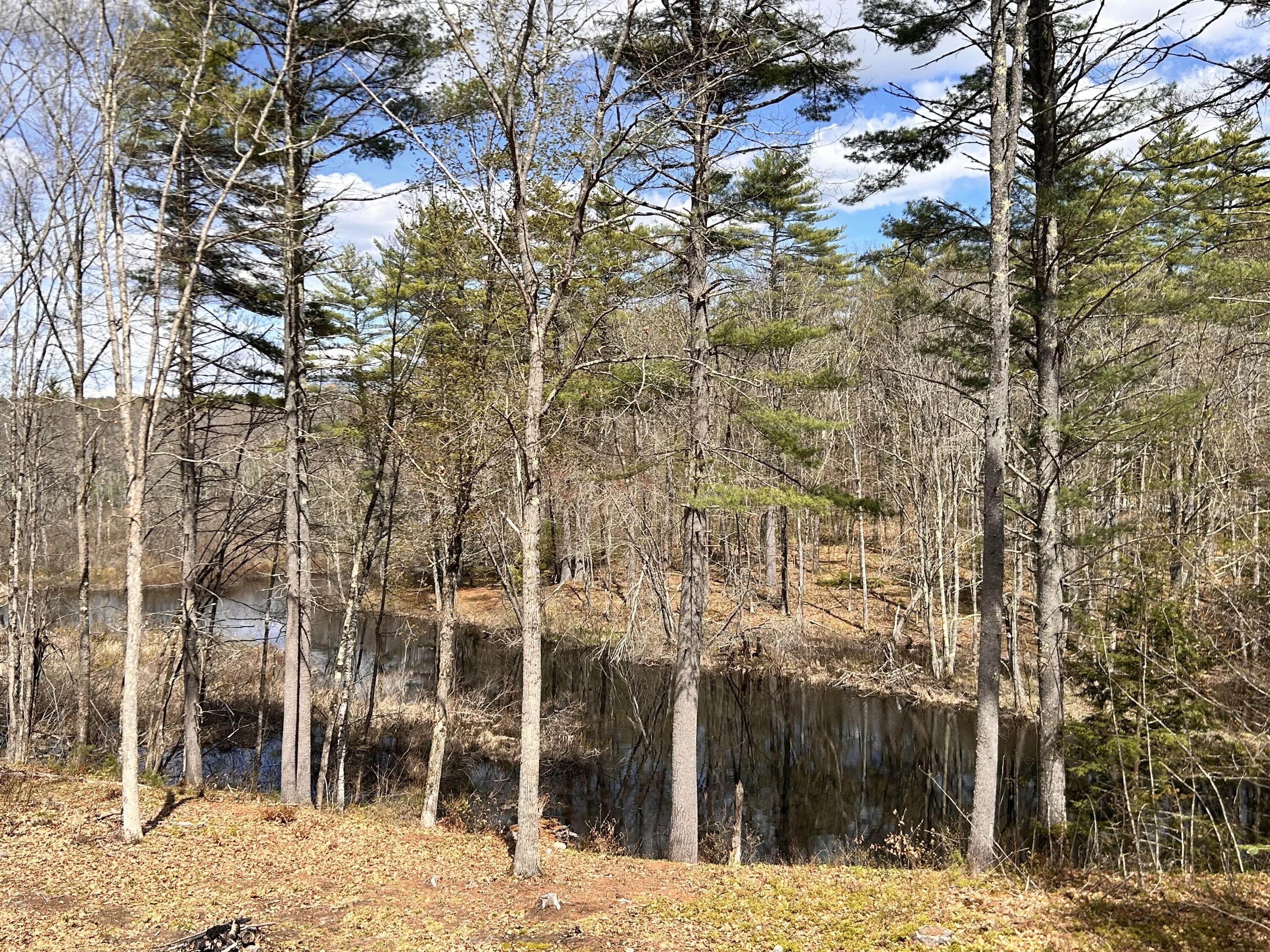 54 Raptor Ridge Road Limerick, ME 04048 - Photo 3 of 41 IMG_5071