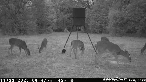 a view of a wooden floor