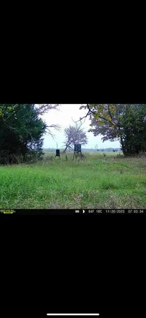 a view of a yard with an outdoor space