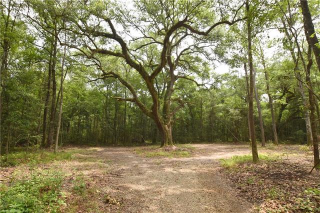 3 Sally Welch Road Lacombe, LA 70445 - Photo 7 of 10