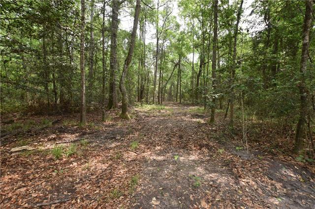 3 Sally Welch Road Lacombe, LA 70445 - Photo 9 of 10