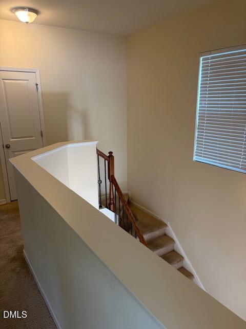 736 Treviso Lane Apex, NC 27502 - Photo 14 of 24 IMG_0925