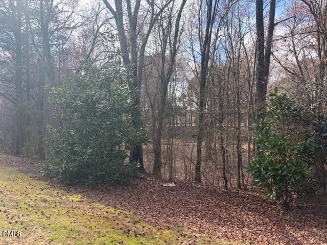 736 Treviso Lane Apex, NC 27502 - Photo 4 of 24 IMG_0920