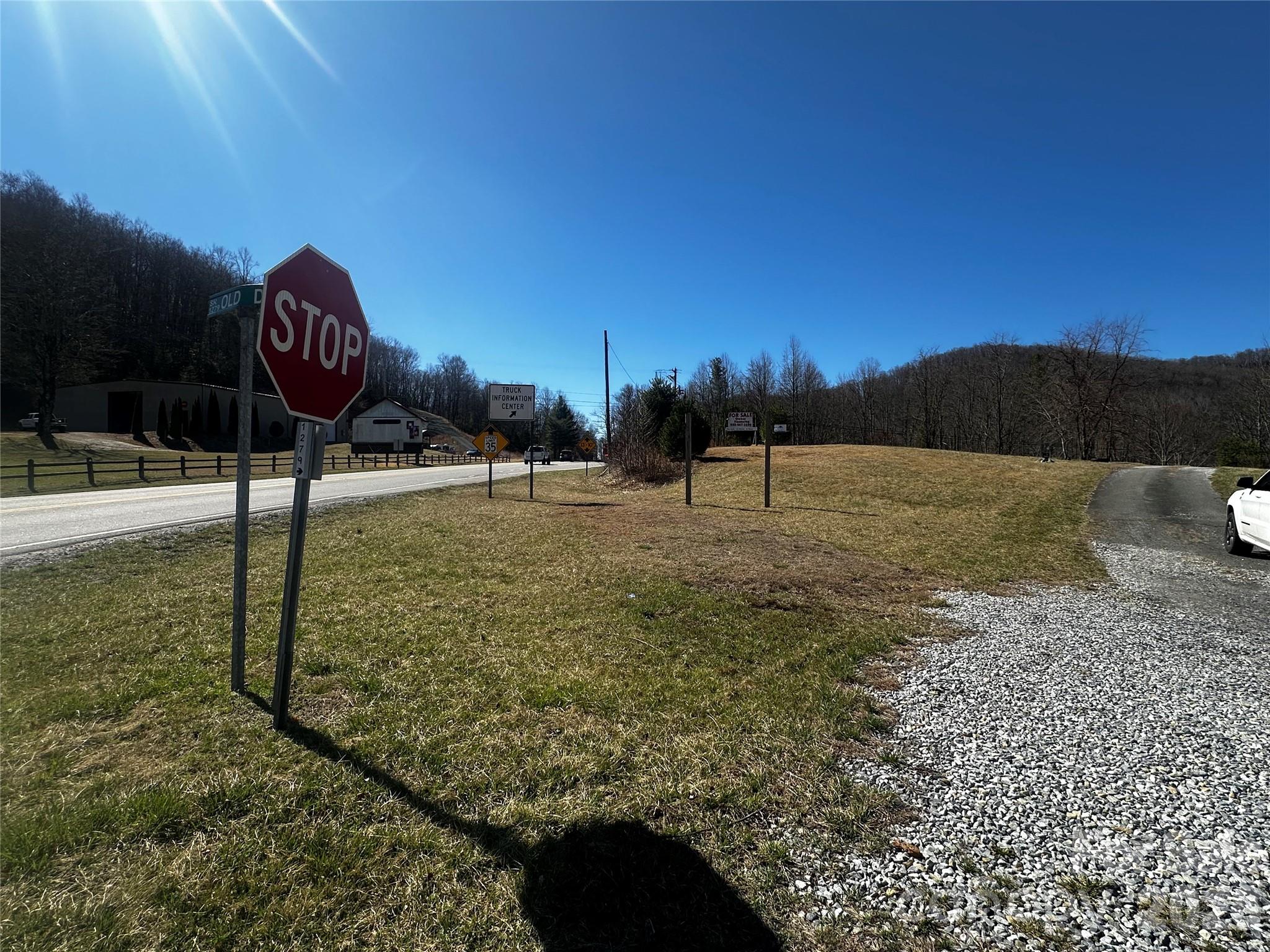 400 Old Dale Road Spruce Pine, NC 28777 - Photo 20 of 24 a view of a yard with a slide