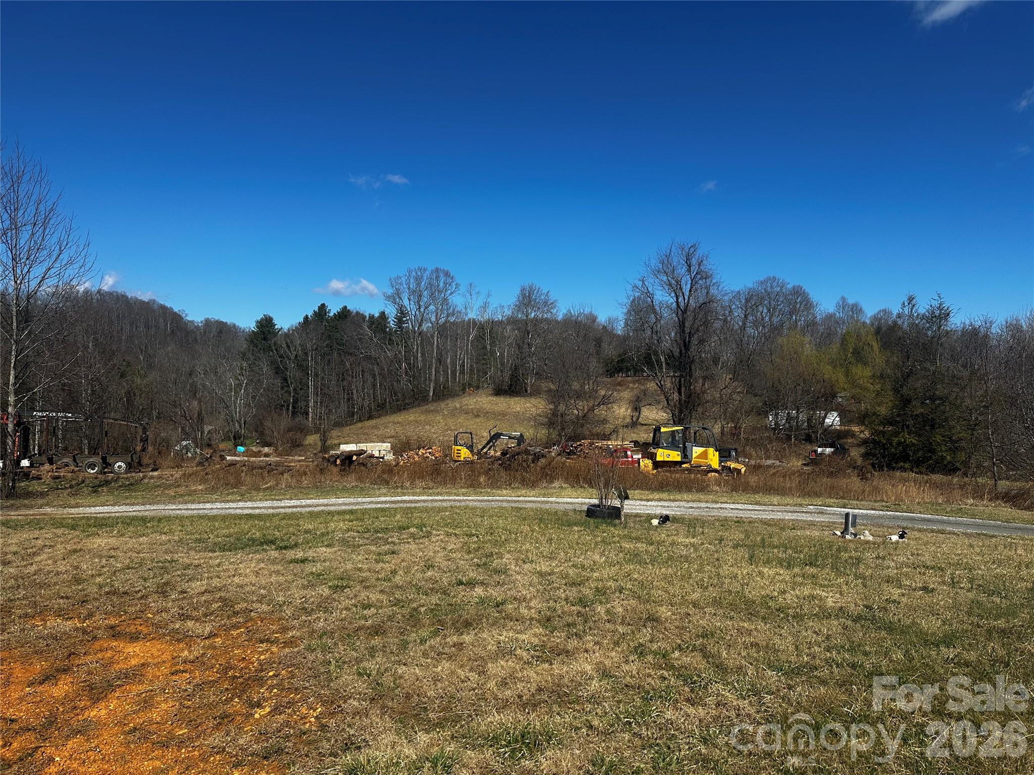 400 Old Dale Road Spruce Pine, NC 28777 - Photo 6 of 24 a view of large trees with a big yard