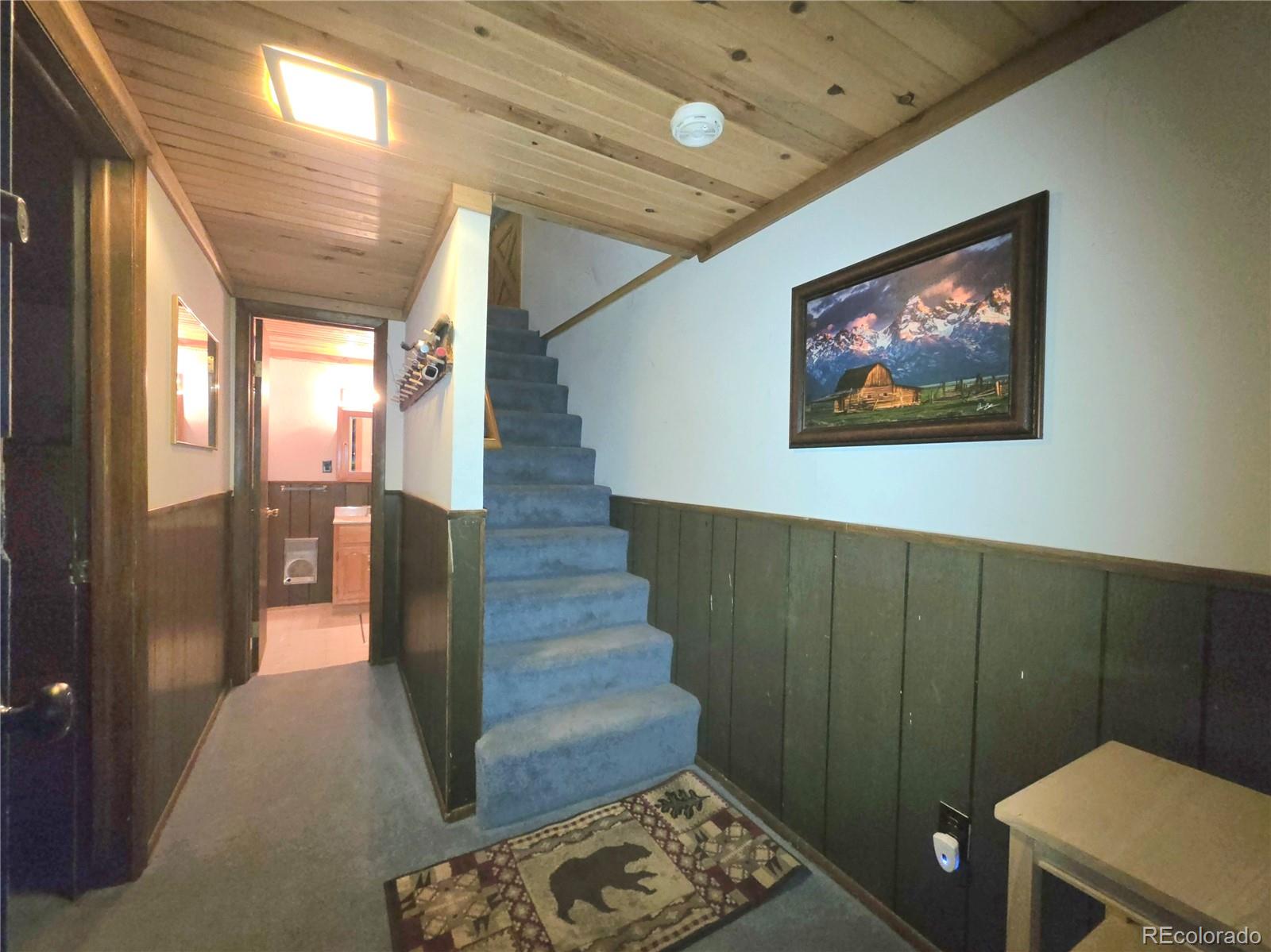 211 Pine Ridge Road Alma, CO 80420 - Photo 34 of 48