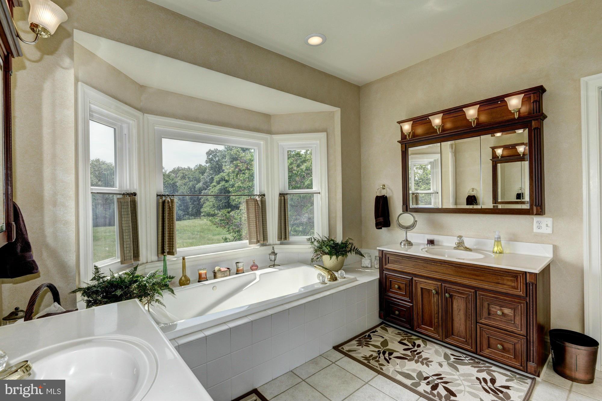 20500 Westerly Road Poolesville, MD 20837 - Photo 22 of 30 a spacious bathroom with a tub double sink and mirror