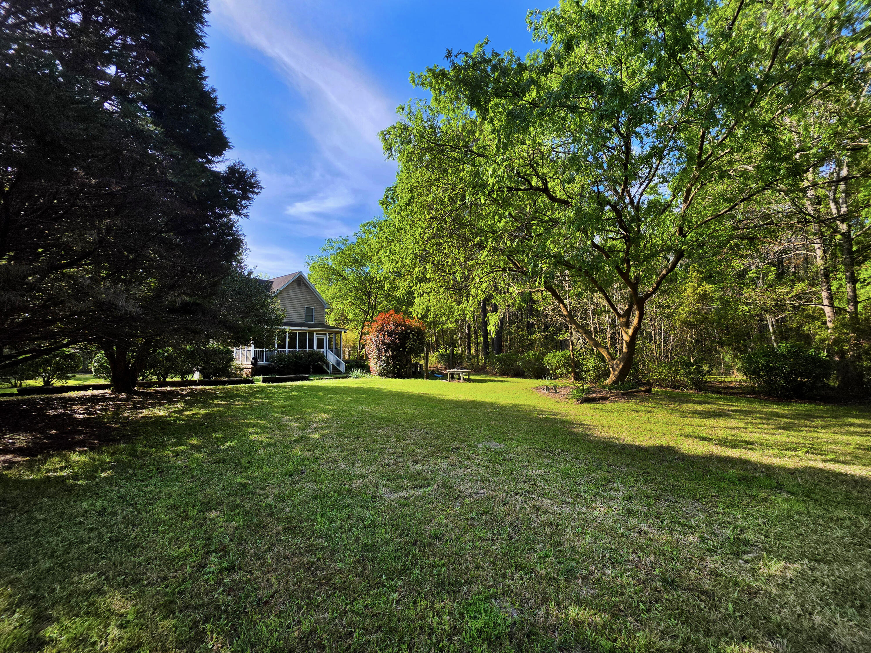 1183 White Road Awendaw, SC 29429 - Photo 13 of 43 12-Rear and yard