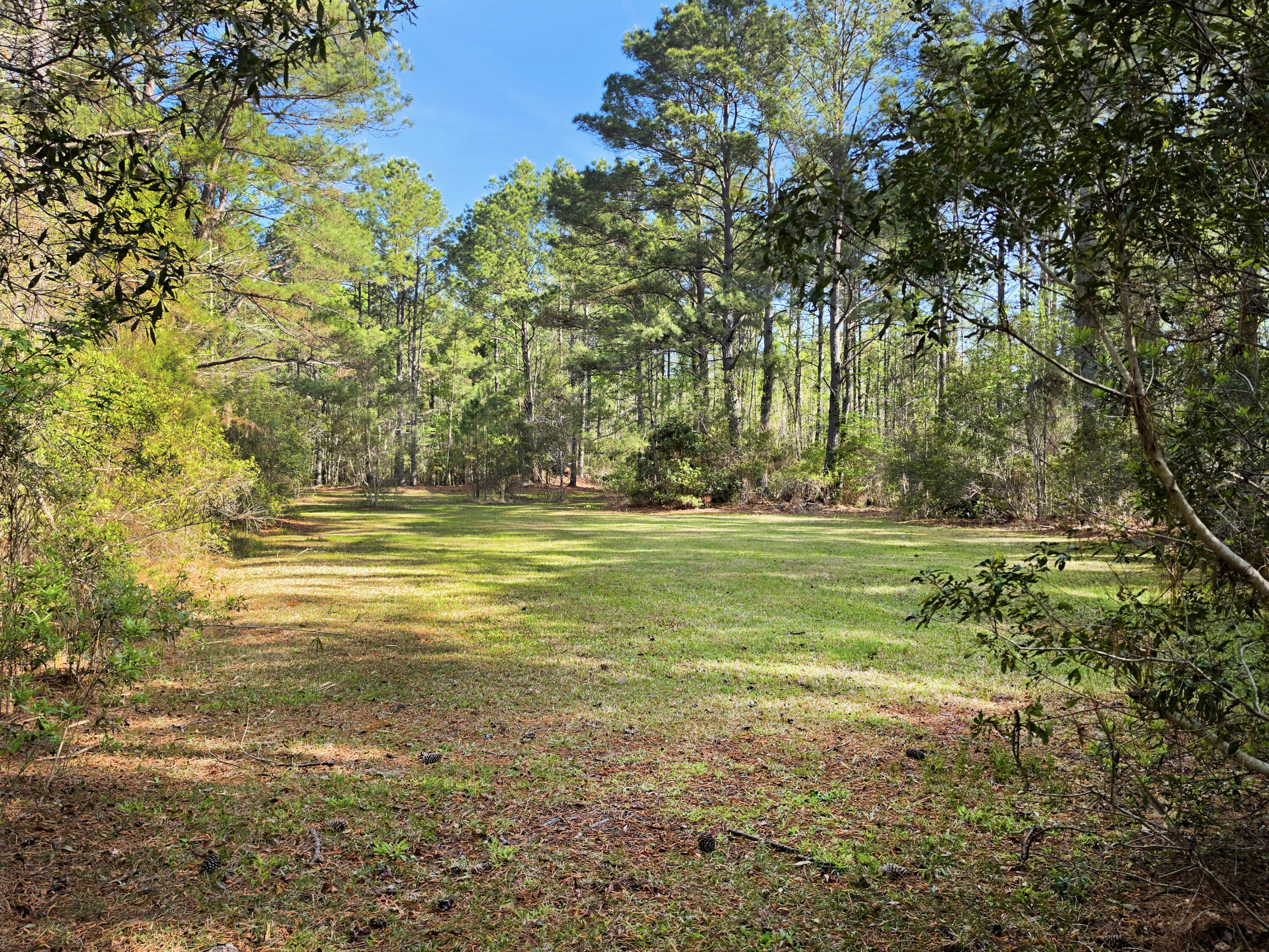 1183 White Road Awendaw, SC 29429 - Photo 21 of 43 23-Pasture