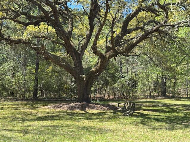 1183 White Road Awendaw, SC 29429 - Photo 23 of 43 Majestic Oak