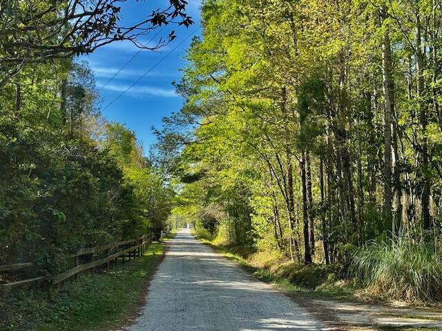 1183 White Road Awendaw, SC 29429 - Photo 3 of 43 White Road