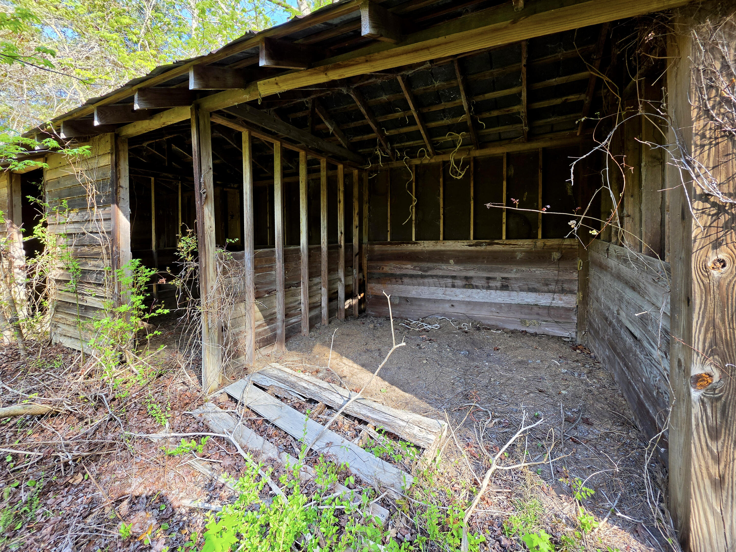 1183 White Road Awendaw, SC 29429 - Photo 37 of 43 Stall - 2