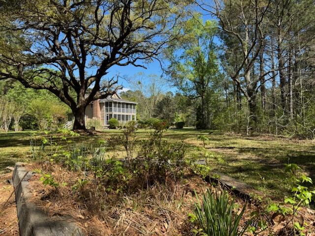 1183 White Road Awendaw, SC 29429 - Photo 6 of 43 Left driveway