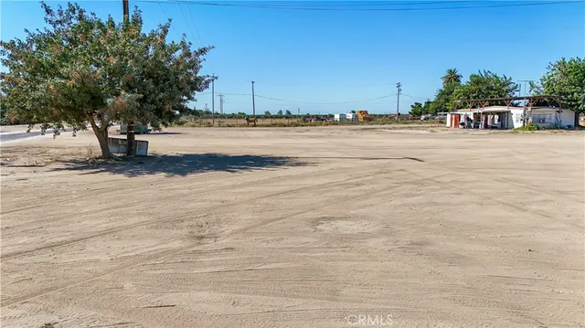 a street view with large trees