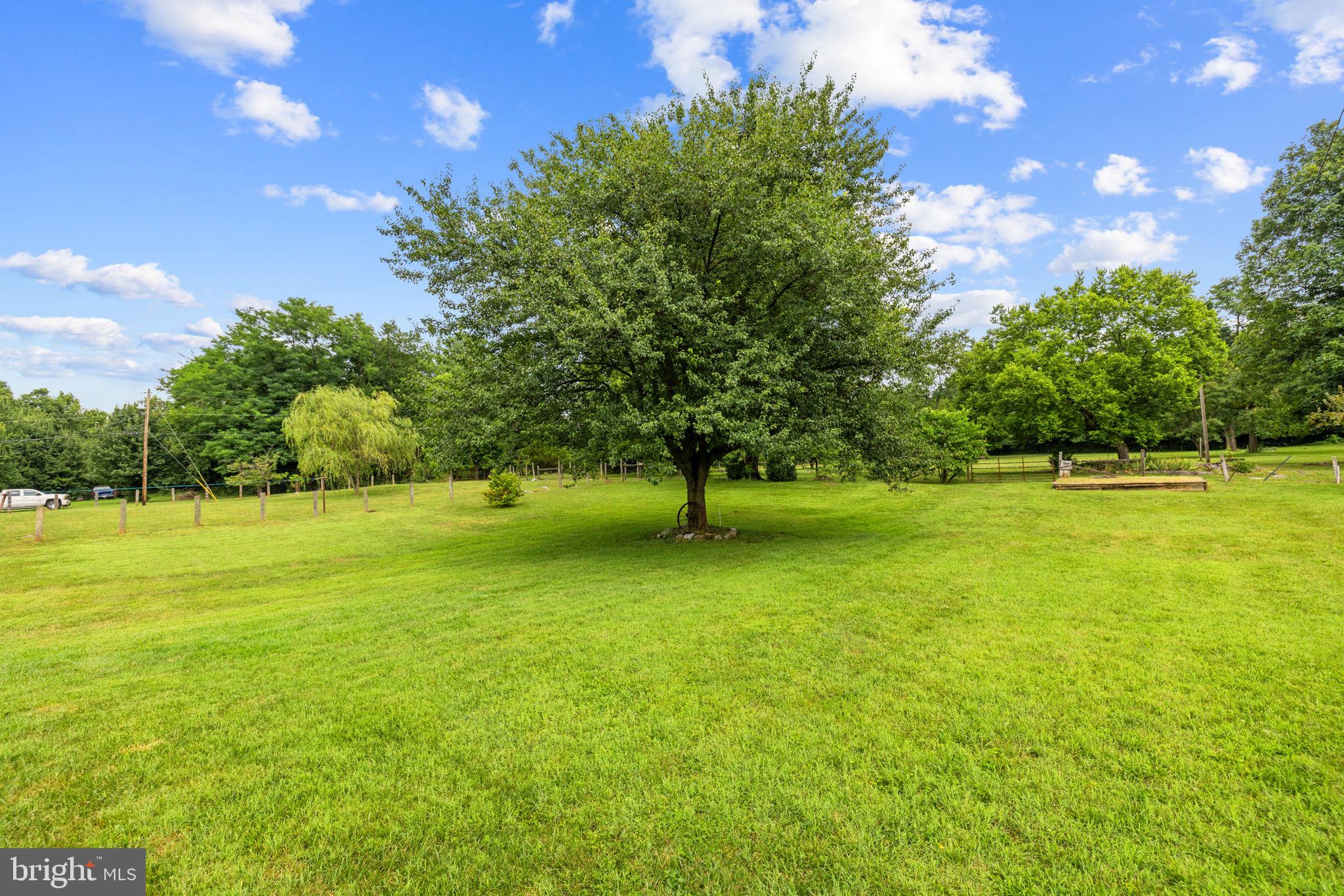 171 Triple J Road Berryville, VA 22611 - Photo 75 of 95 Lovely tree is focal point in rear yard.