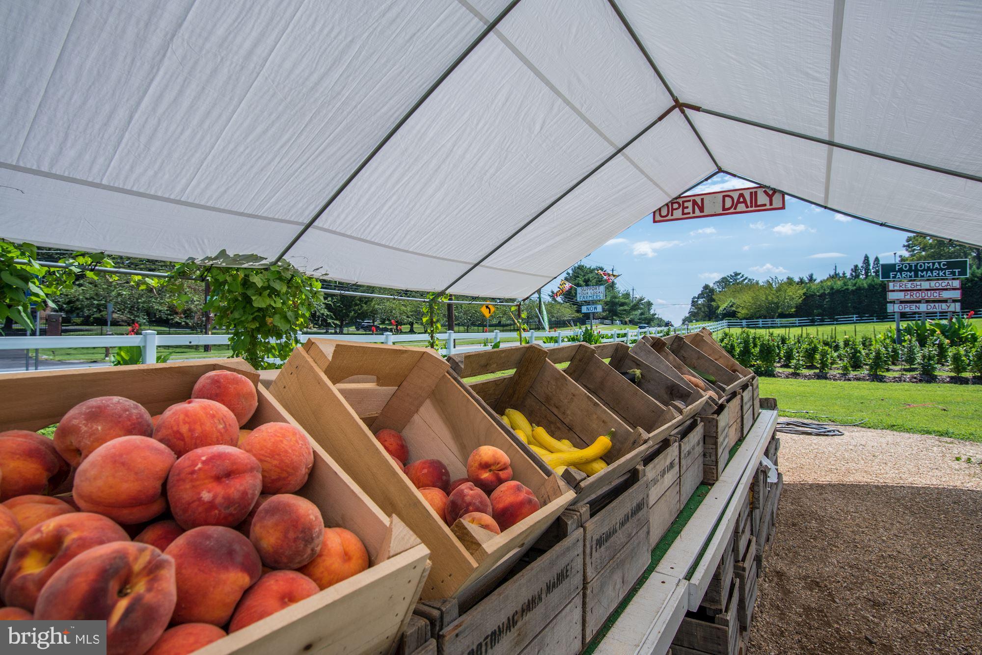 11512 Glen Road Potomac, MD 20854 - Photo 45 of 47 Potomac Farm Market