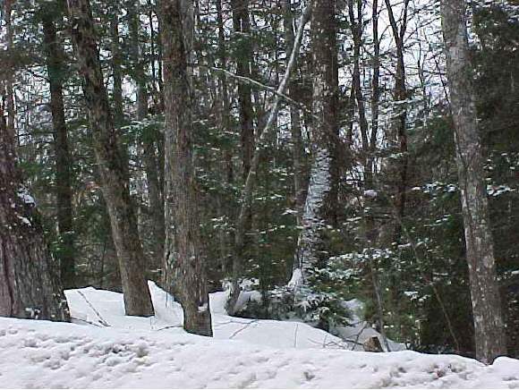 87 Codfish Hill Road Canaan, NH 03741 - Photo 1 of 1