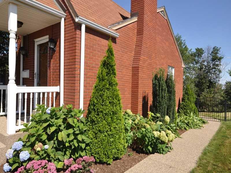 342 Fort Couch Road Upper St. Clair, PA 15241 - Photo 21 of 25 Exterior Front.