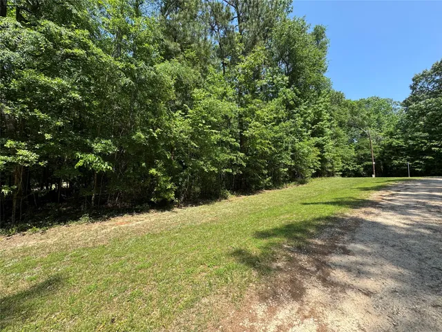 $180,000 | 162 Moon River Trail, Goodrich, TX 77335