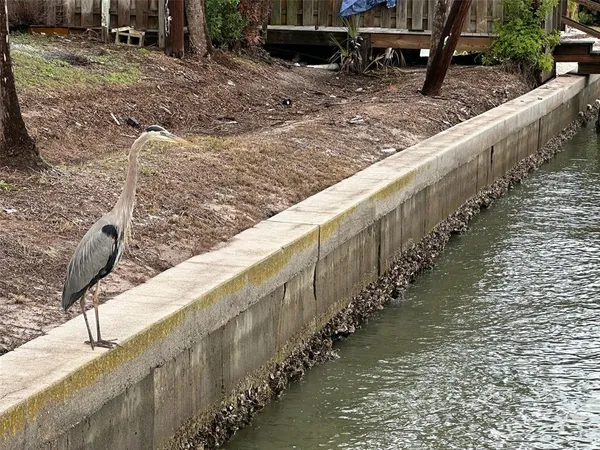 $1,950 | 175 55th Avenue, Unit 109, St. Pete Beach, FL 33706