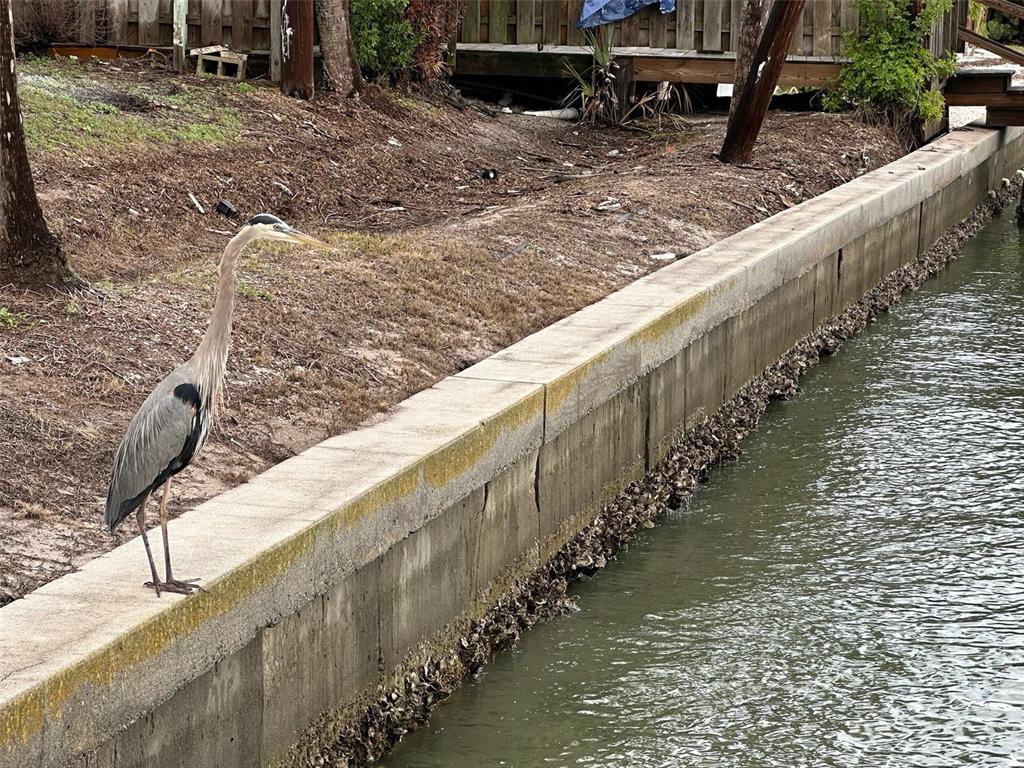 175 55th Avenue, Unit 109 St. Pete Beach, FL 33706 - Photo 27 of 27
