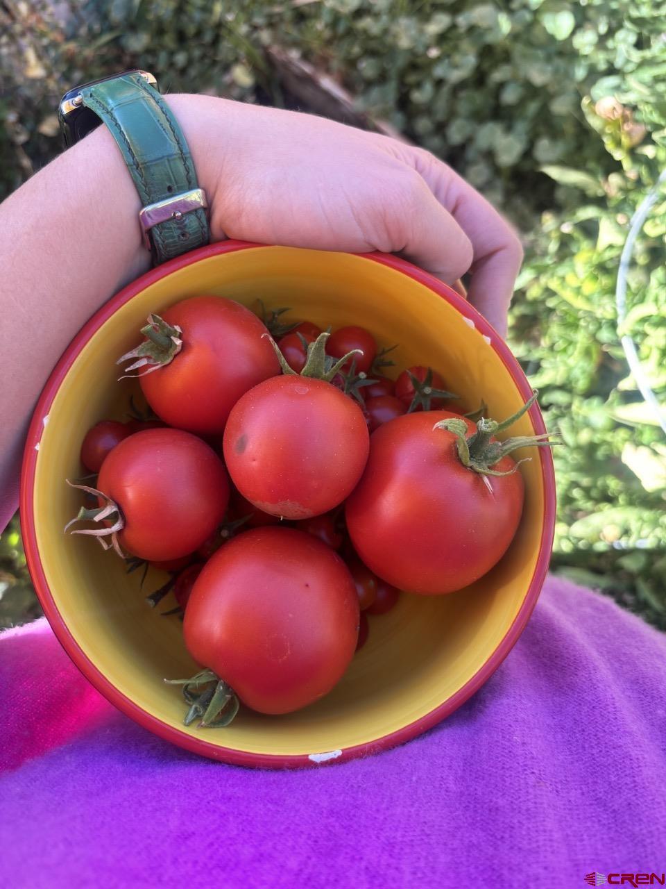 476 East 5th Street Durango, CO 81301 - Photo 35 of 40 a view of a pool