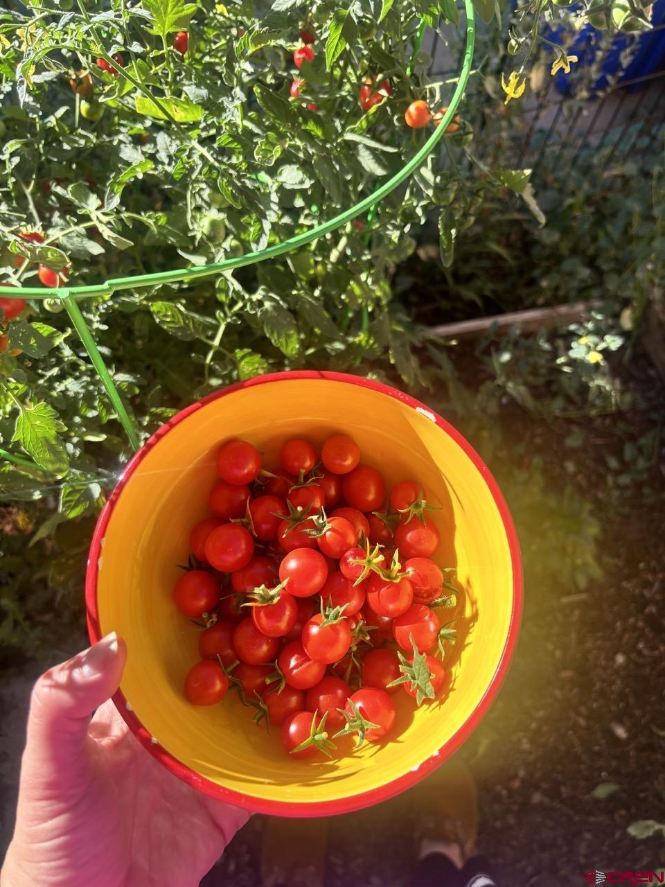 476 East 5th Street Durango, CO 81301 - Photo 36 of 40 an aerial view of a swimming pool with an outdoor space and seating area