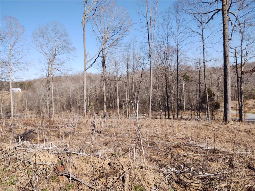 3150 Giles Road Lexington, NC 27295 - Photo 2 of 11 Gallery Image 2