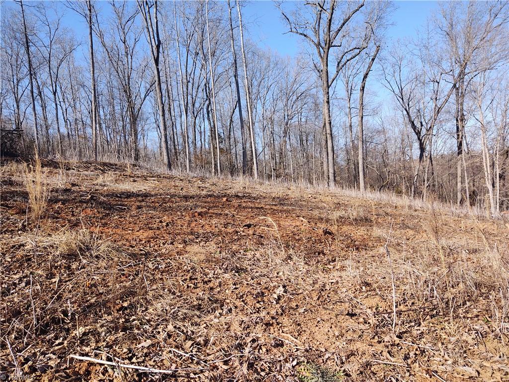 3150 Giles Road Lexington, NC 27295 - Photo 4 of 11 Gallery Image 4