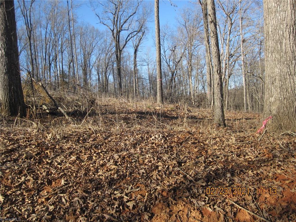 3150 Giles Road Lexington, NC 27295 - Photo 5 of 11 Gallery Image 5
