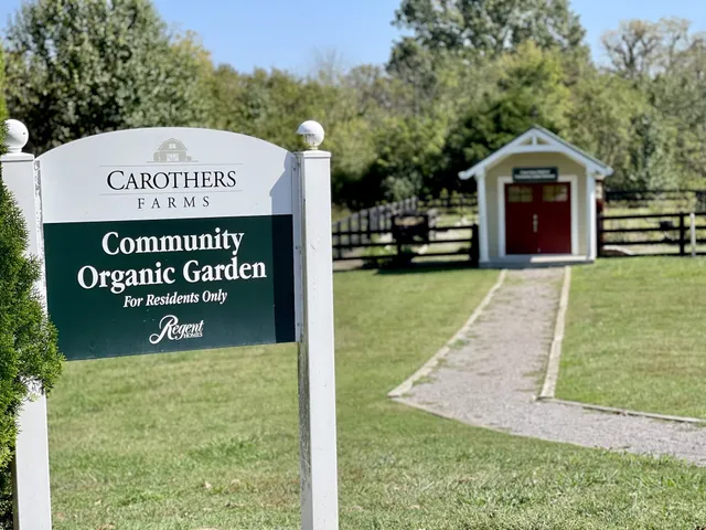 a view of a couches in the roof deck