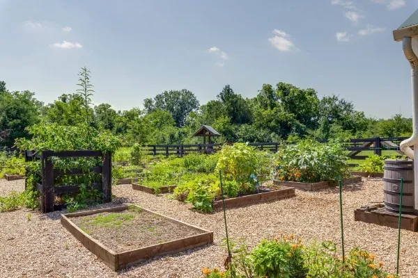 a view of a back yard of the house