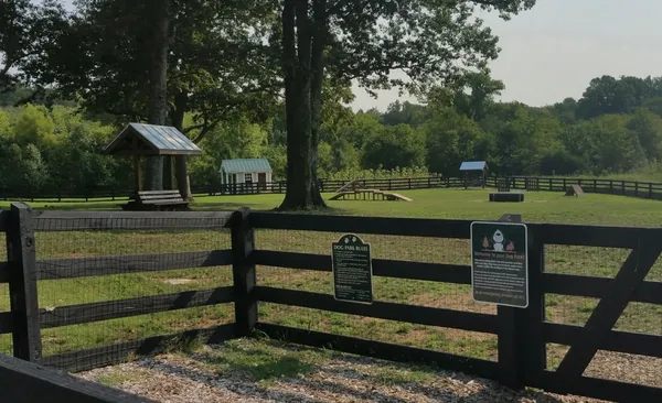 a view of a swimming pool and a yard