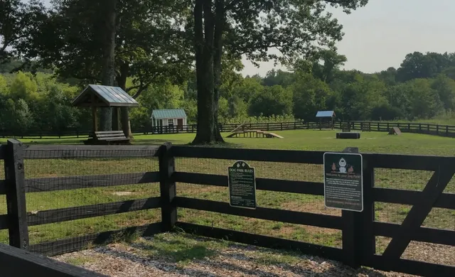 a view of a swimming pool and a yard