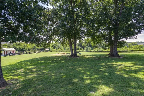 a childrens park with lots of trees