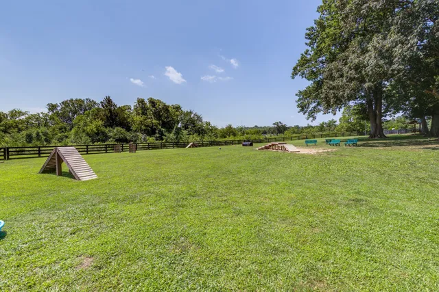 a view of a park with plants