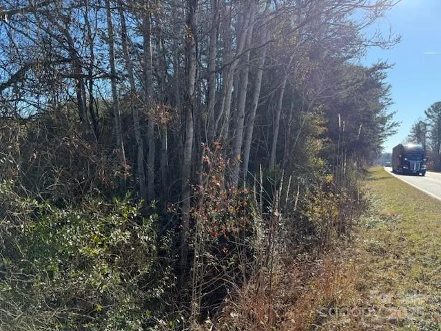 a view of a yard with large trees