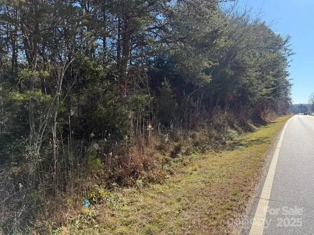 a view of a yard with plants and trees