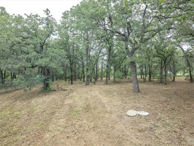 $1,500 | 146 Deerwood Lane, Springtown, TX 76082