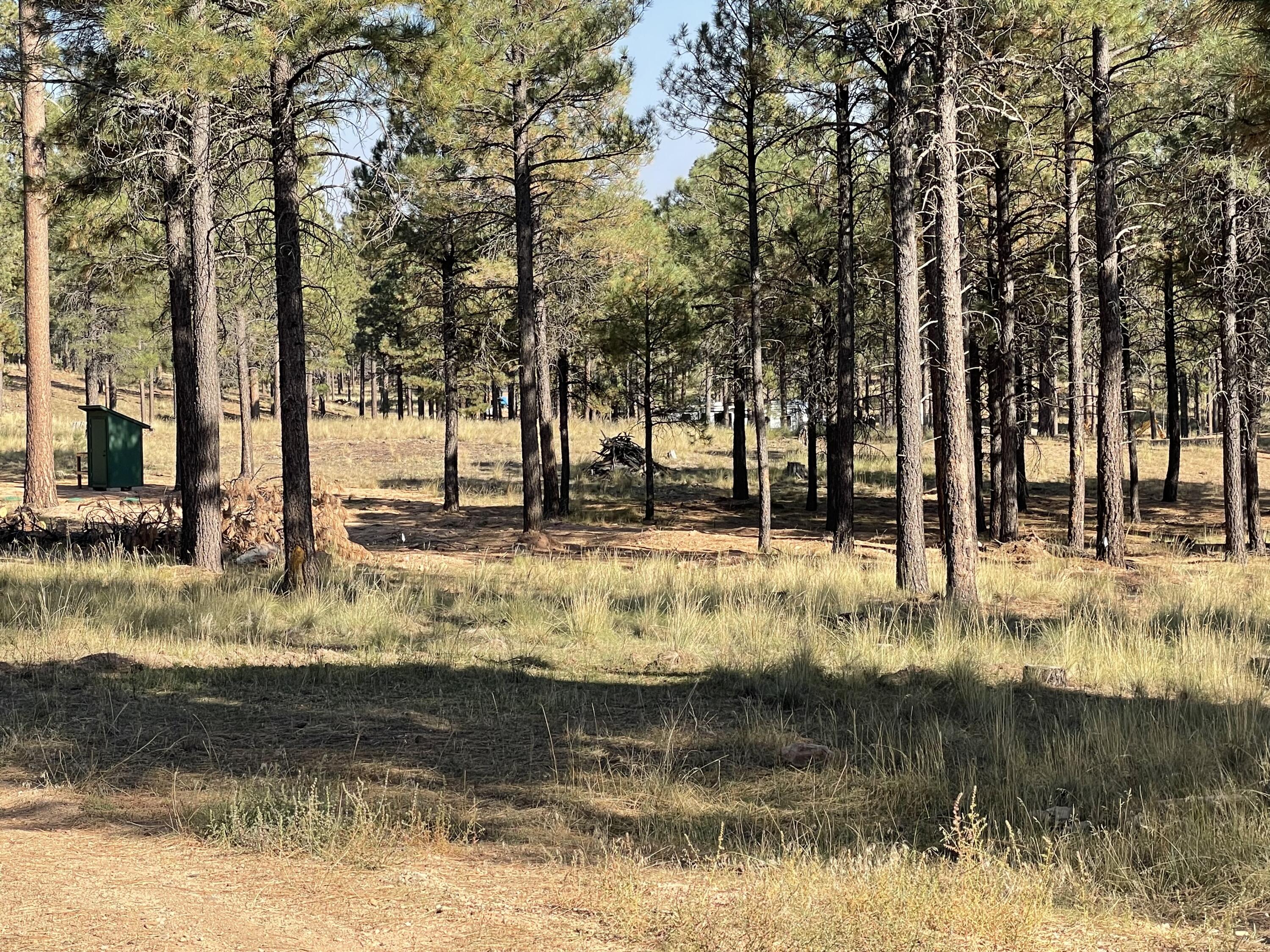 7337 Forest Service 122 Road Happy Jack, AZ 86024 - Photo 28 of 33